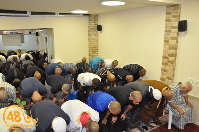 mohamed el fateh3 (12).JPG